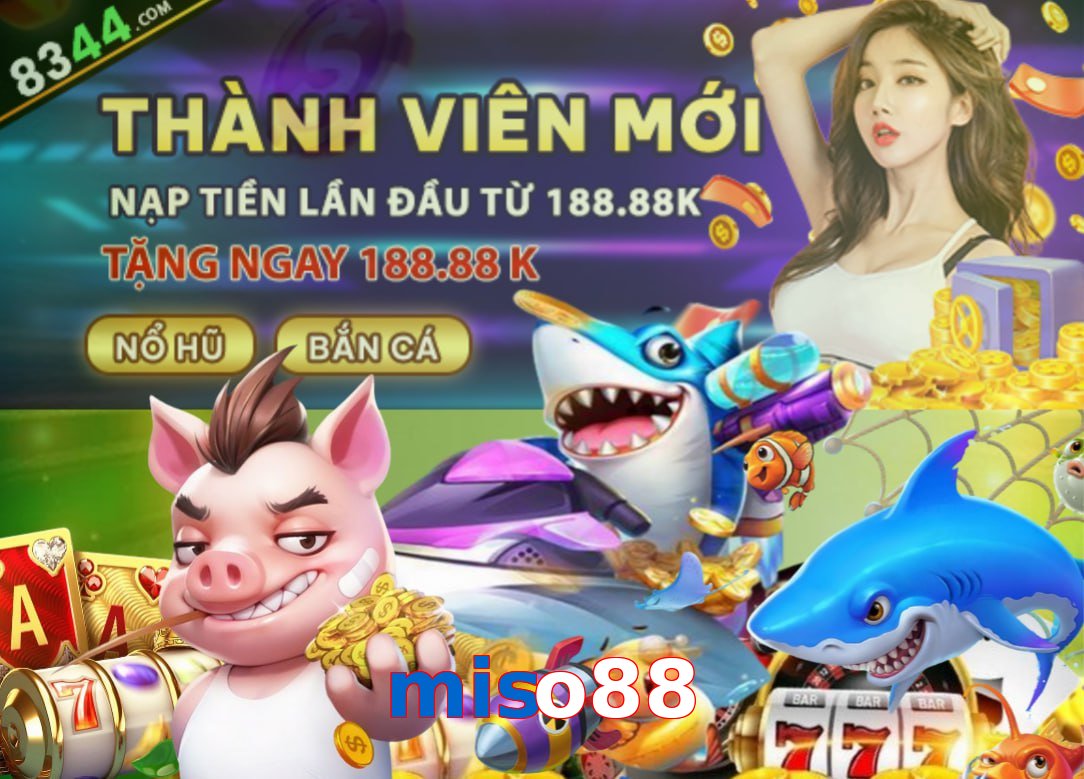 miso88